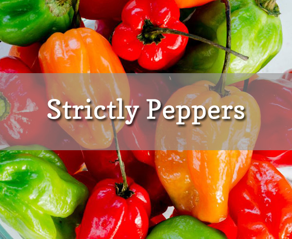 Strictly Peppers